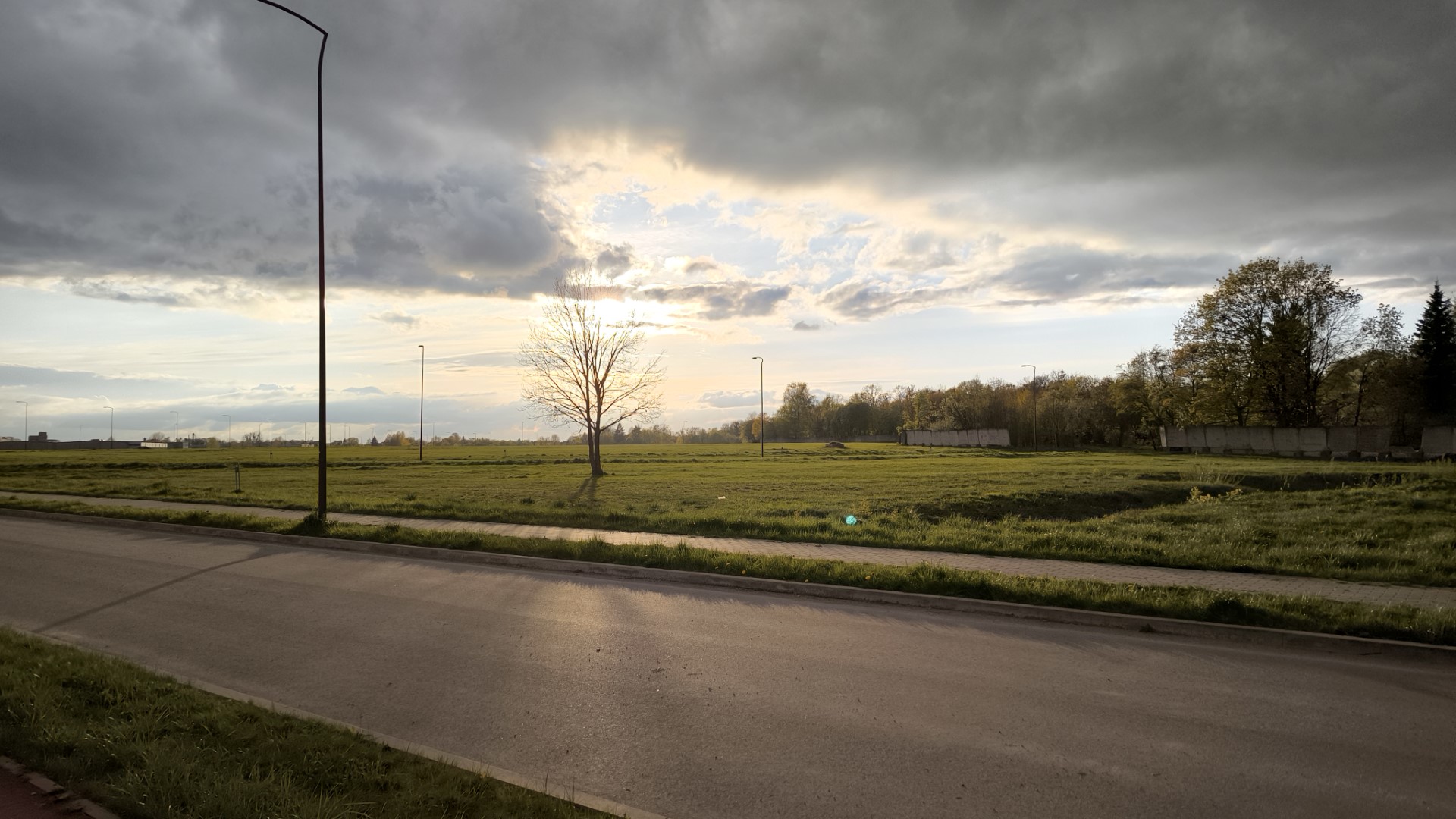 A photo of a sunset landscape. A leafless tree can be seen in an otherwise flat area. Distant groups of trees can be seen along the perimeter.